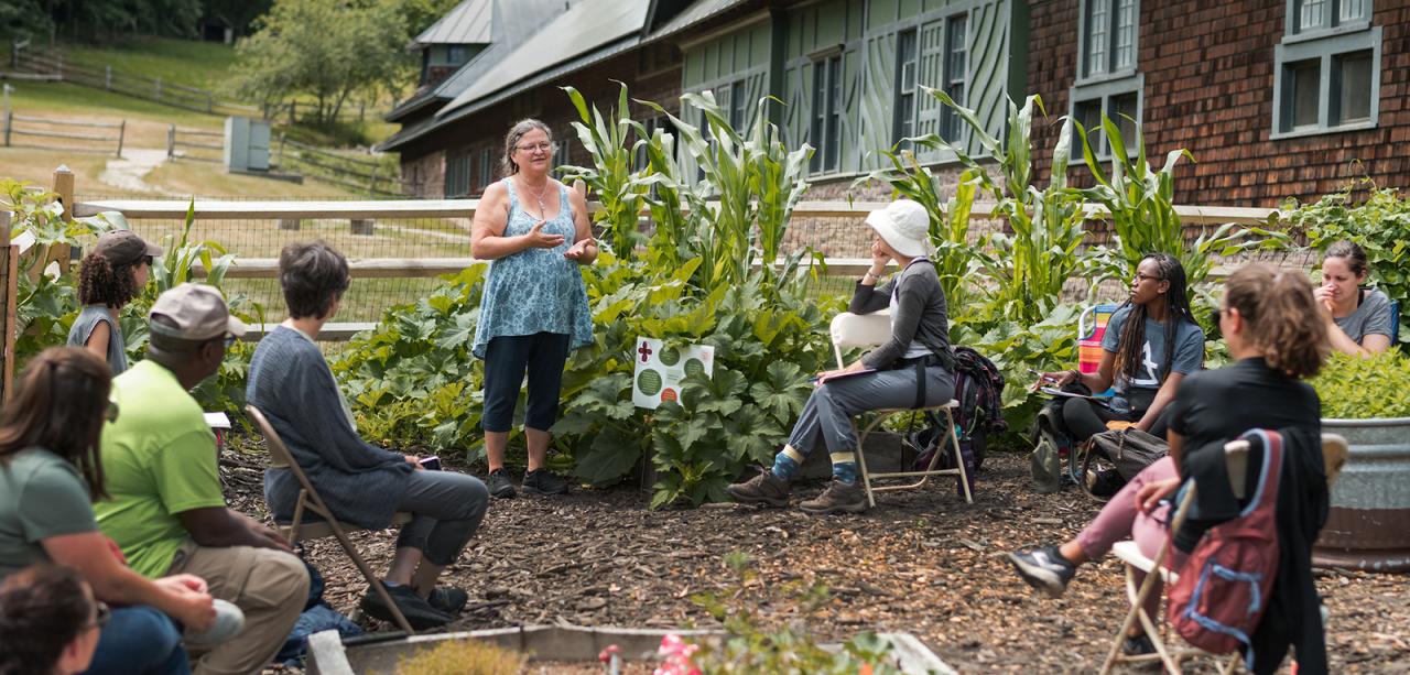 A dozen educators sit in folding chairs, looking toward a presenter. They sit in an outdoor education garden at Shelburne Farms' farm barn with a mulched floor and raised garden beds around them. In the beds grows corn and other vegetables.