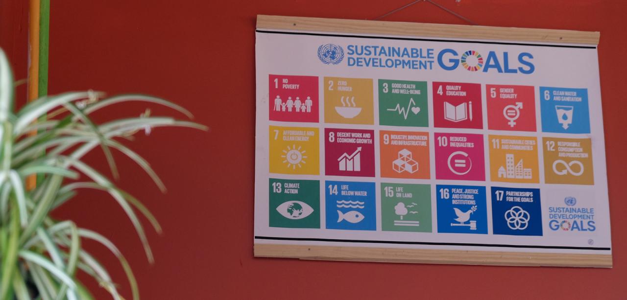 Sustainable Development Goals flag on red classroom wall. A hanging plant hangs in foreground.