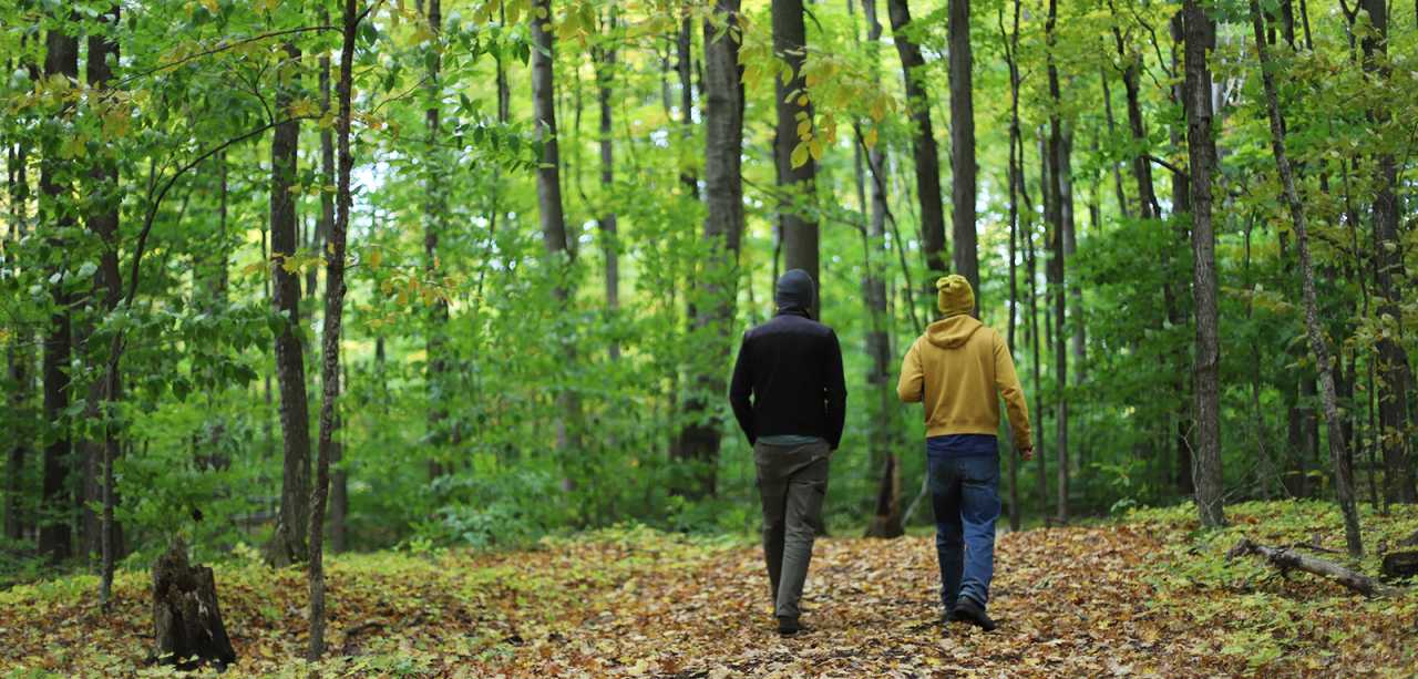 two people walking in golden and green woods, facing away. In long pants and hats.
