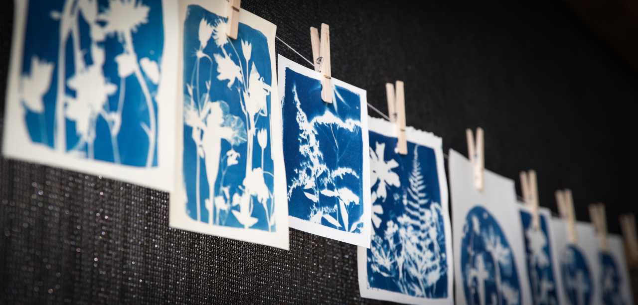 Blue and white cyanotypes of botanicals hang to dry on a line