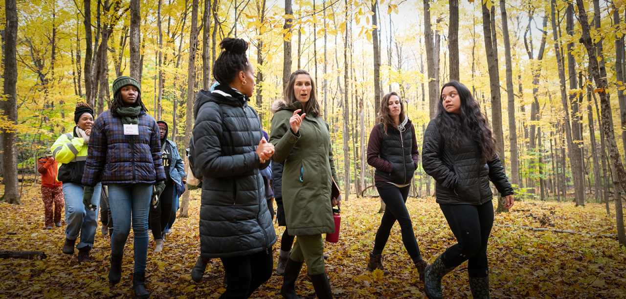 A dozen people talk and walk through autumn woods surrounded by yellow foliage