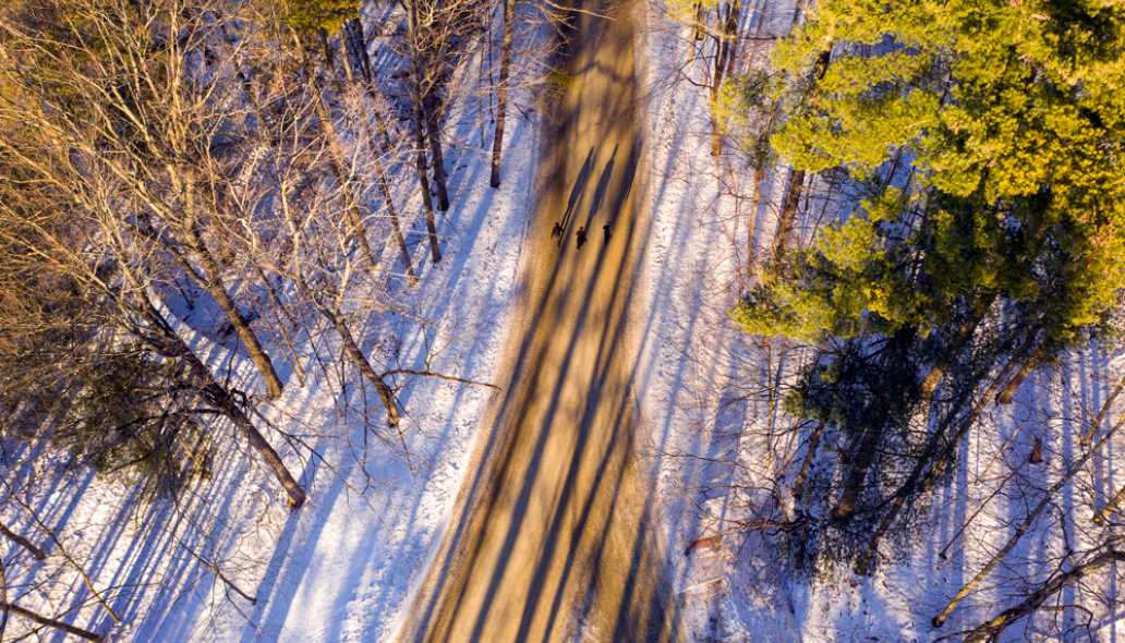 a snowy wooded trail, seen from above