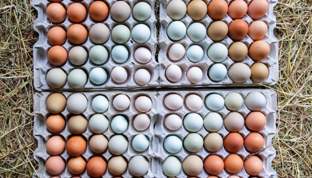 colorful chicken eggs arranged in a diamond pattern