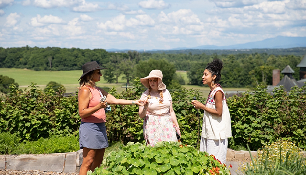 Three women inspect freshly picked flowers in a garden with sweeping views of rolling hills and mountains in distance