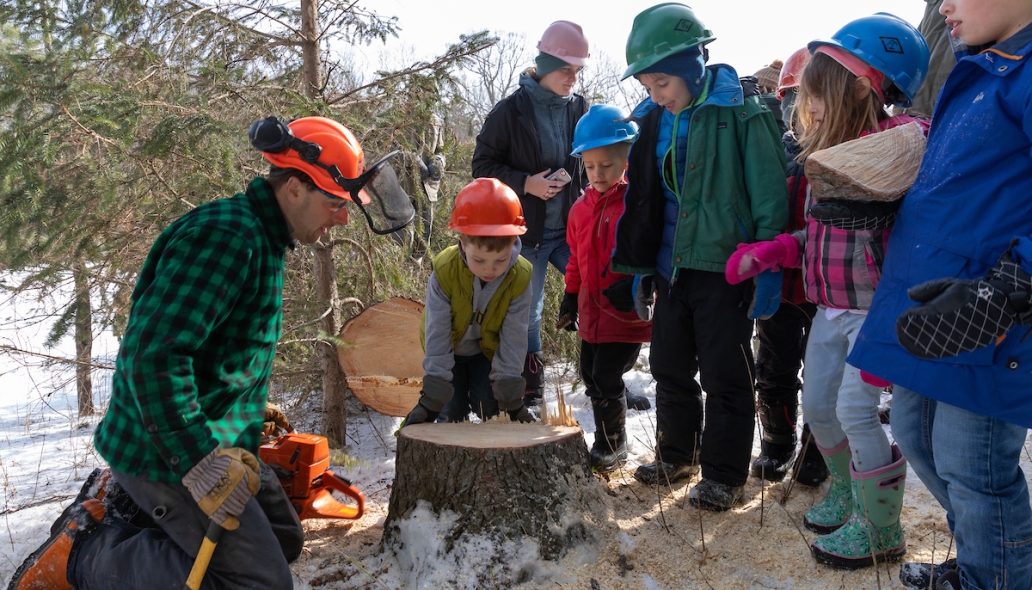 kids looking at fallen tree