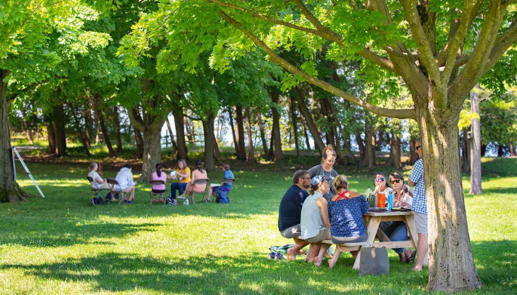 People enjoying meals and conversations at picnic tables in an outdoor setting with lush green trees.