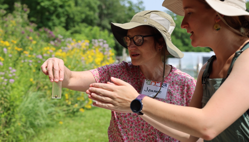 Leslie Spencer at Immersion pollinator safari