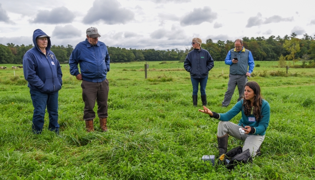 Four adults talk in a grassy pasture