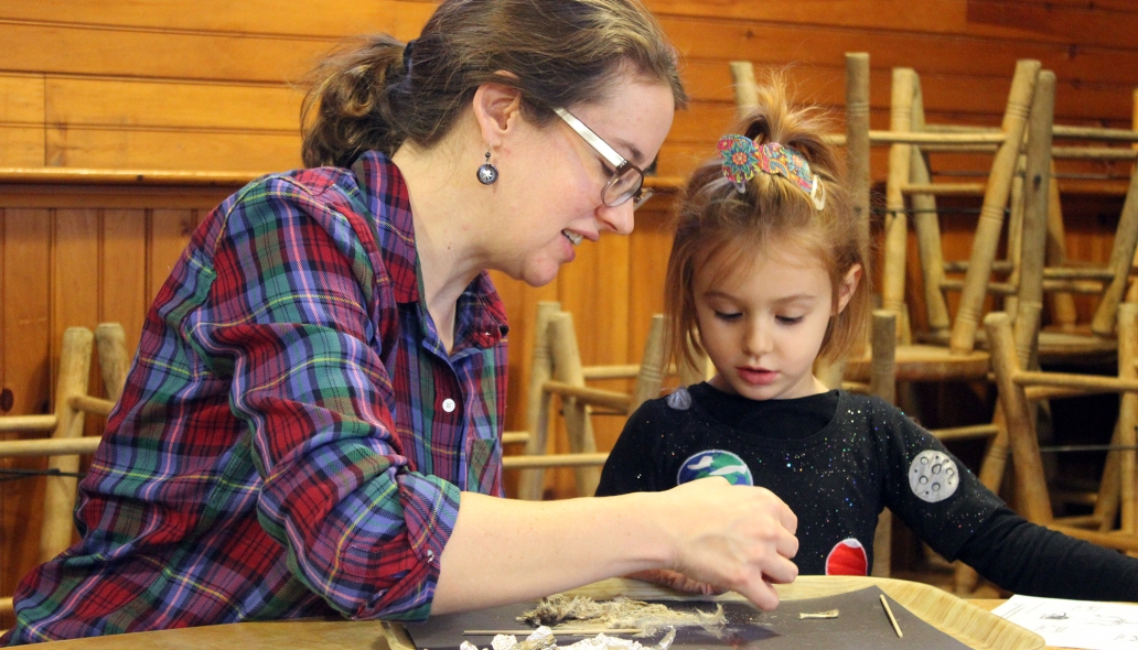 owl pellet dissecting 