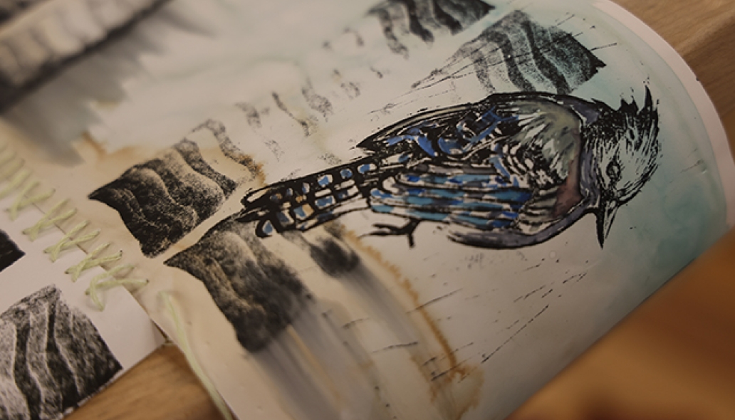 An illustration of a blue jay