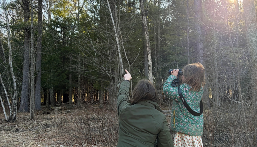 family bird walk