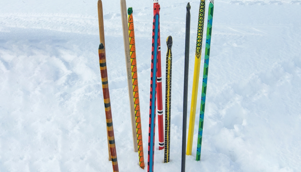 Snow Snakes - Diane Stevens Photography