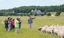 group of people in field with sheep