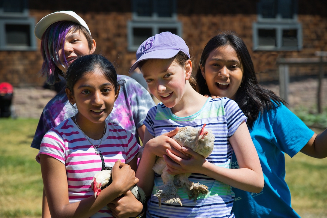 Kids in the Children's Farmyard with a Chicken